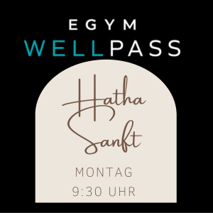 EGYM – Montag –  9:30 Uhr – Hatha Sanft